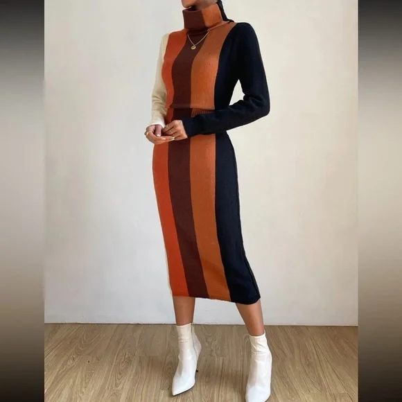 NWOT Privé Color Block Turtleneck Sweater Dress - Picture 2 of 6